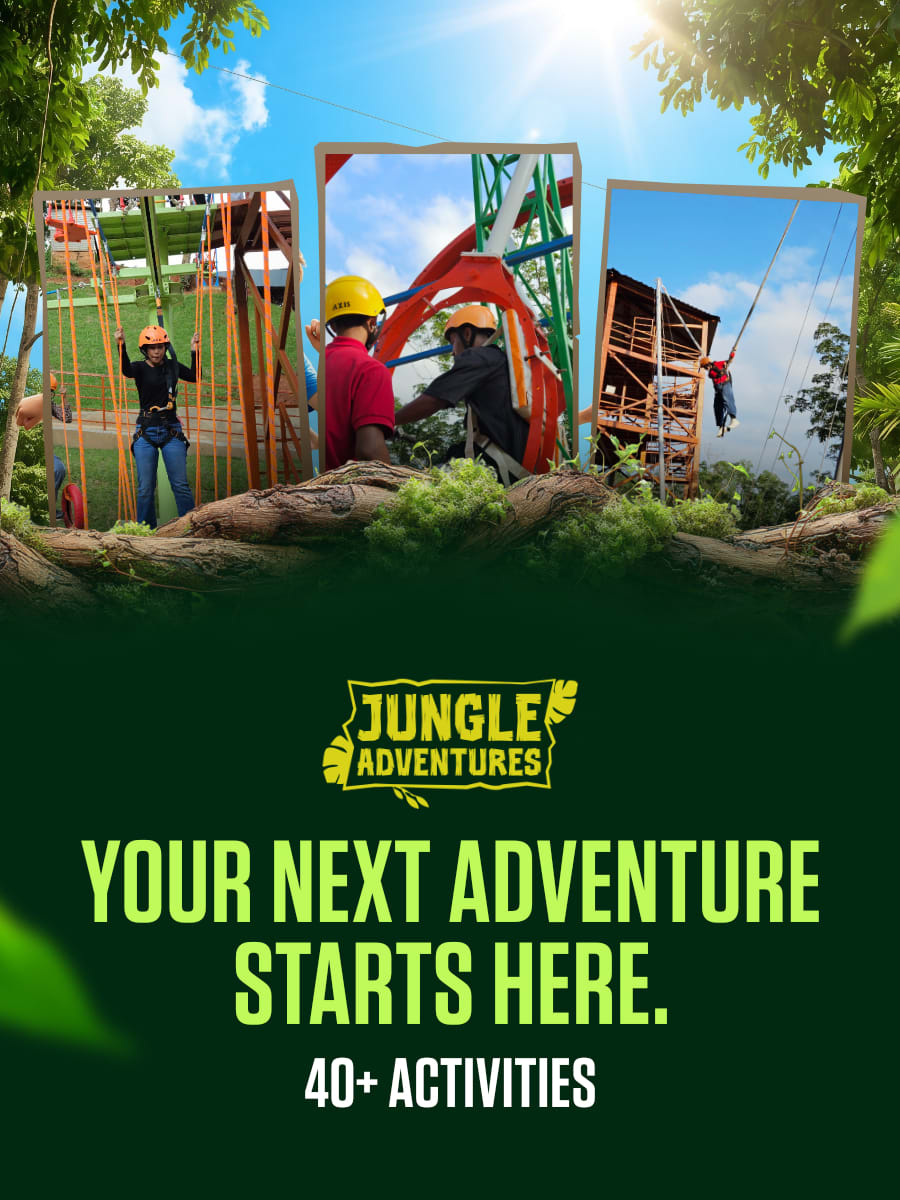 Jungle Adventure | Amchong