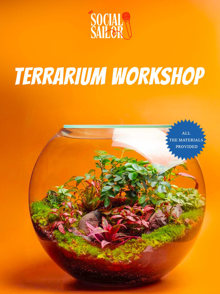 Terrarium Workshop Date - Chandigarh