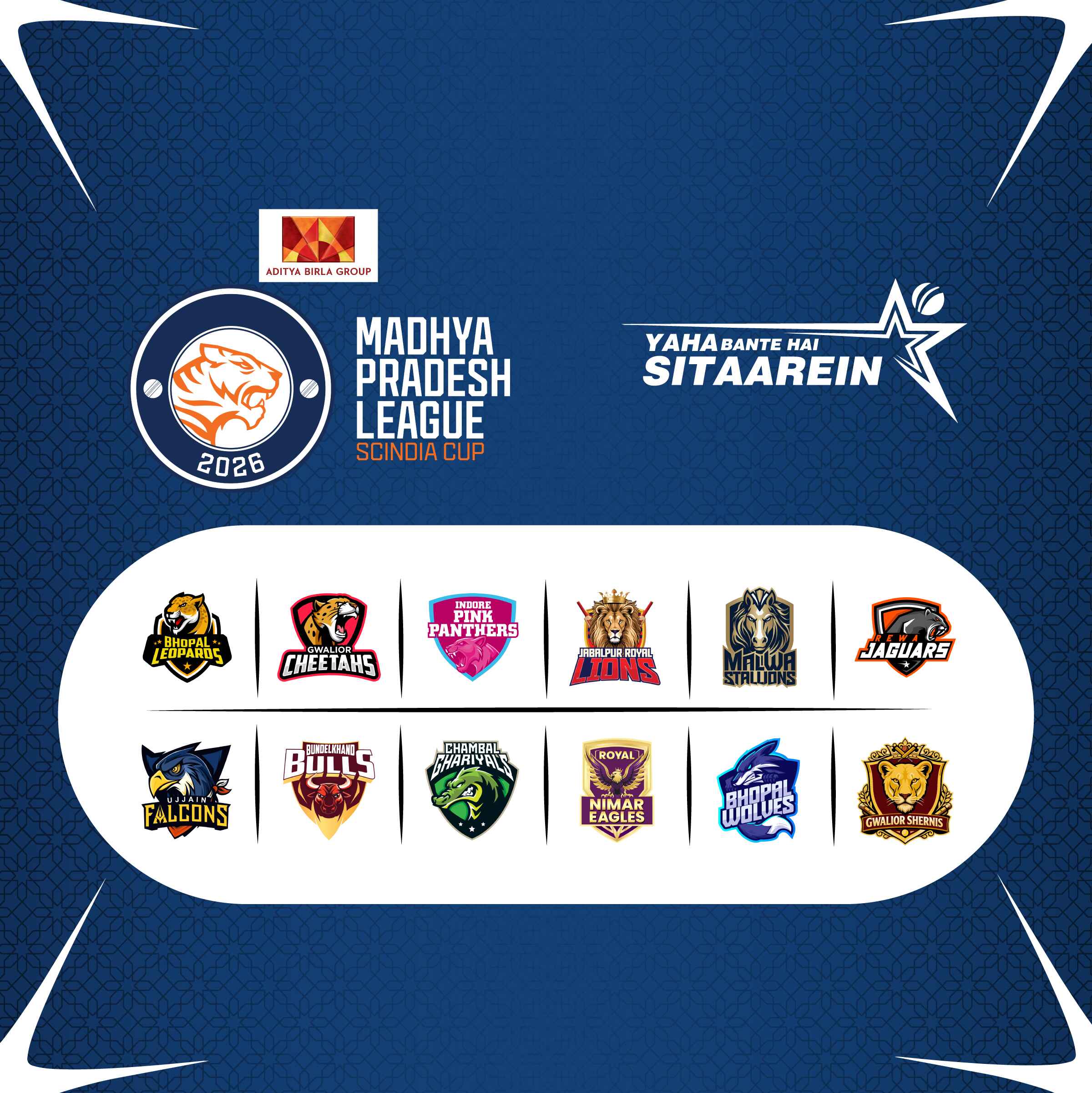 ipl logo