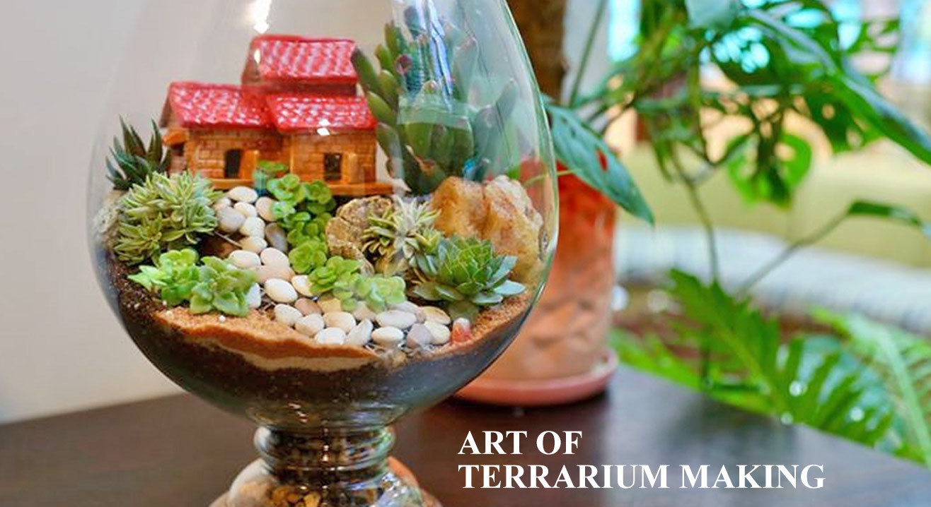 craft v koramangala to Terrarium Bloom by Grow Workshop & Book tickets