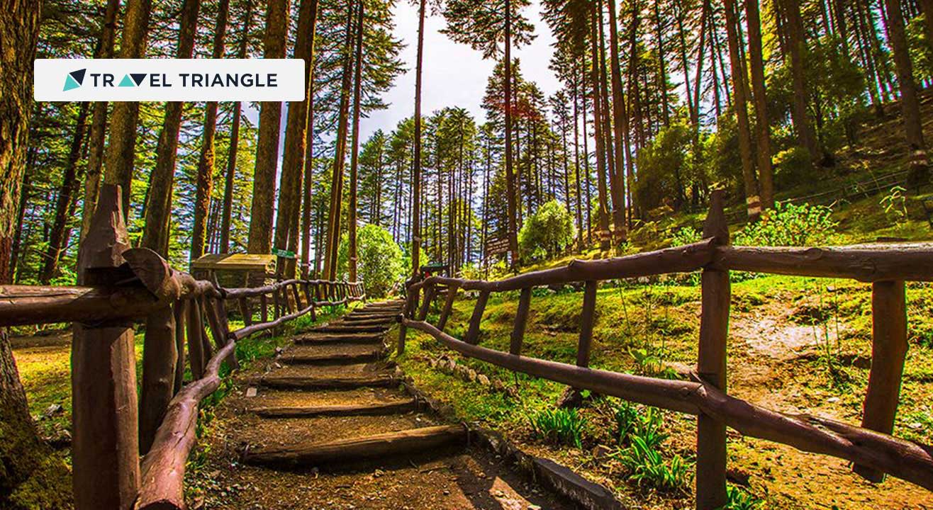 Book tickets to Visit Dhanaulti with Travel Triangle