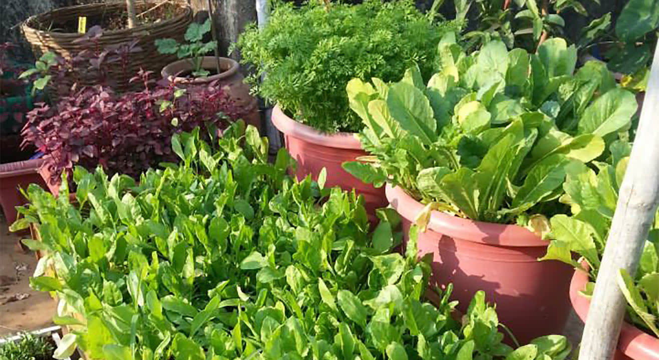 Book Tickets To Organic Kitchen Gardening Composting Work Organic Kitchen Gardening Composting Work