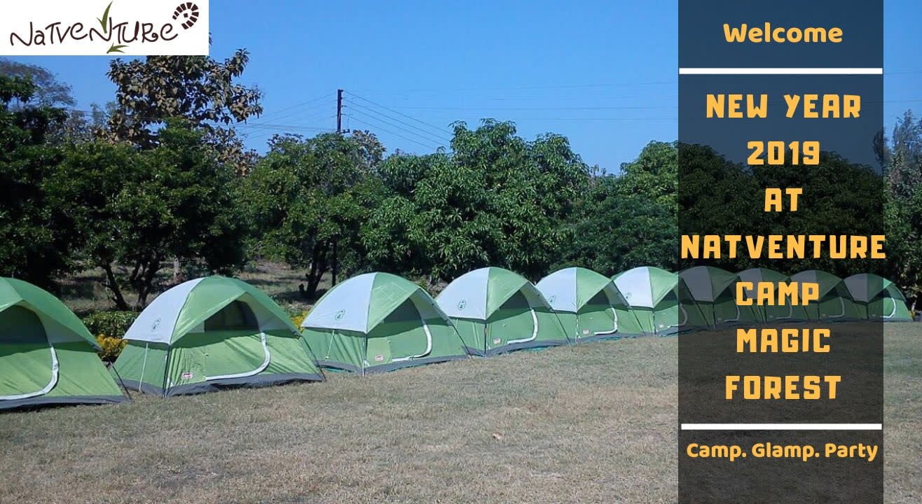 New Years Eve at Natventure Camp Magic Forest, Vikramgadh
