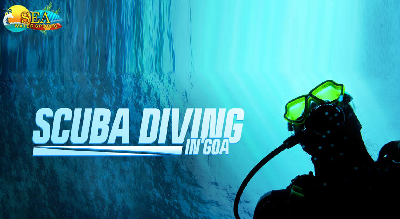 Scuba Diving at Grande Island Goa