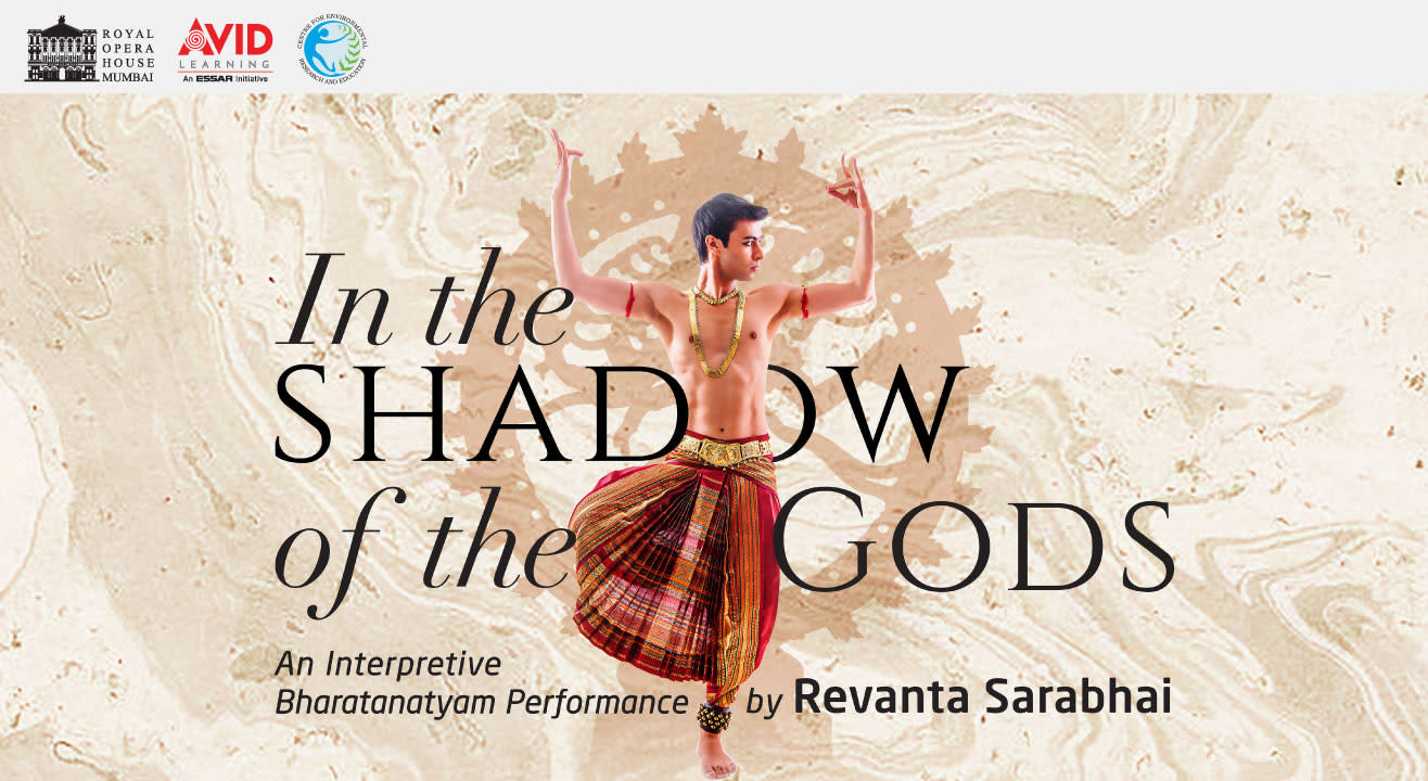 Bharatanatyam Classical Dance Vector Images (72)