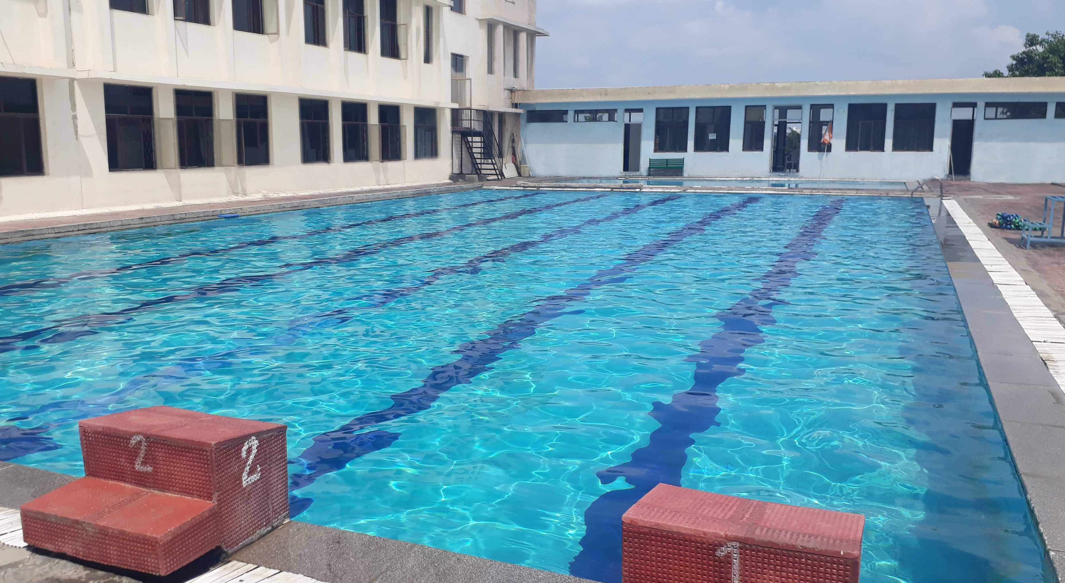 goldfish swim class levels