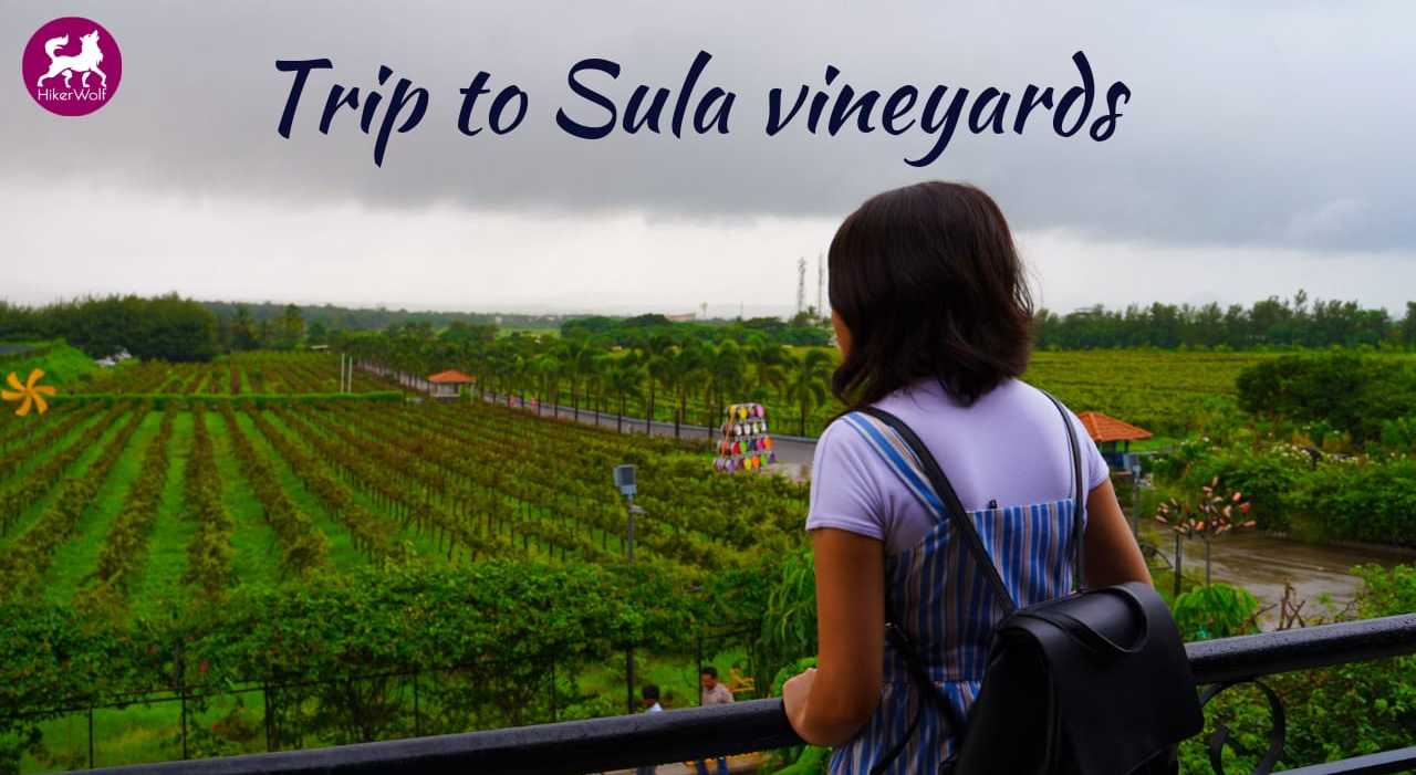 Sula Vineyards Trip Nashik Wineries HikerWolf