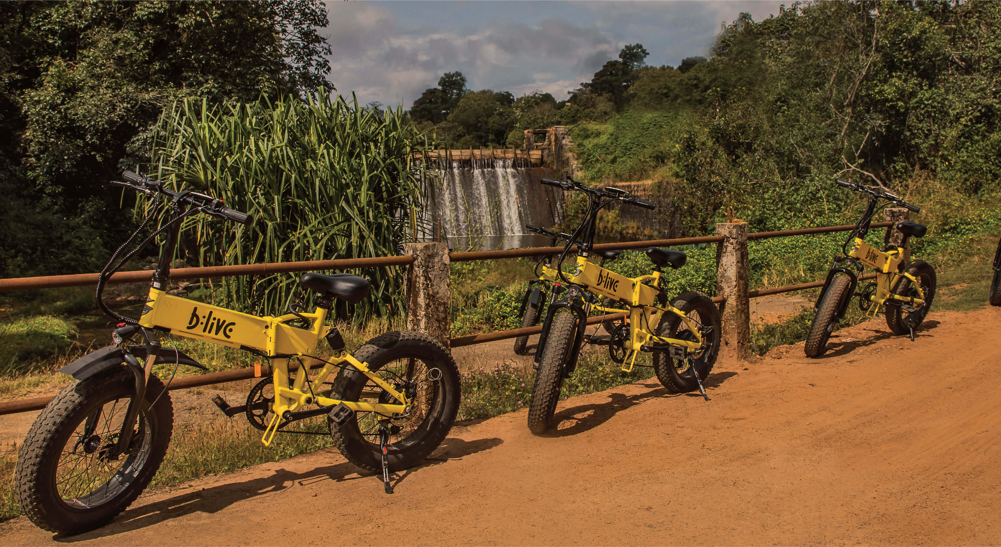 B:Live E-bike Tours - Madikeri Nature Trail