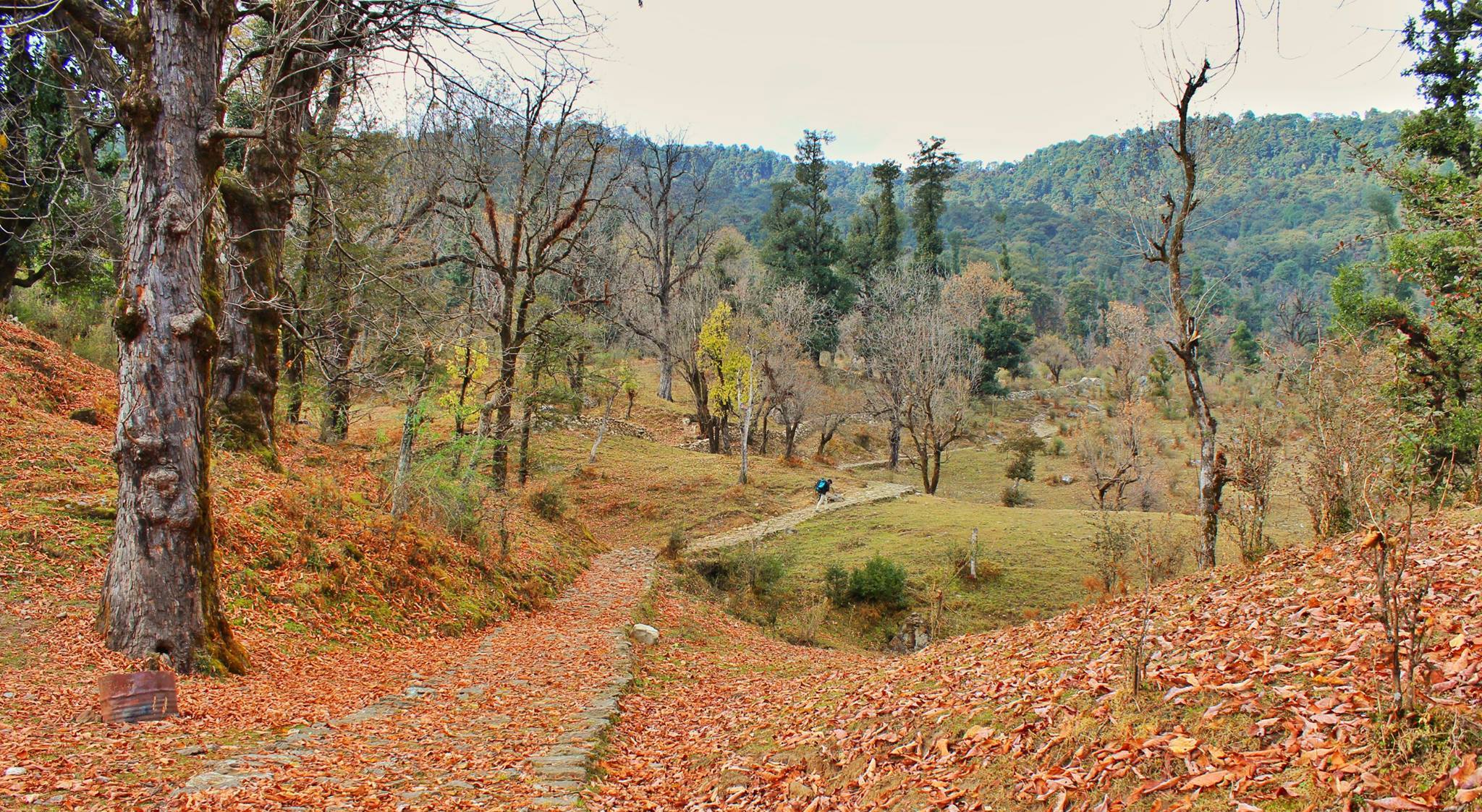 dayara-bugyal-trek