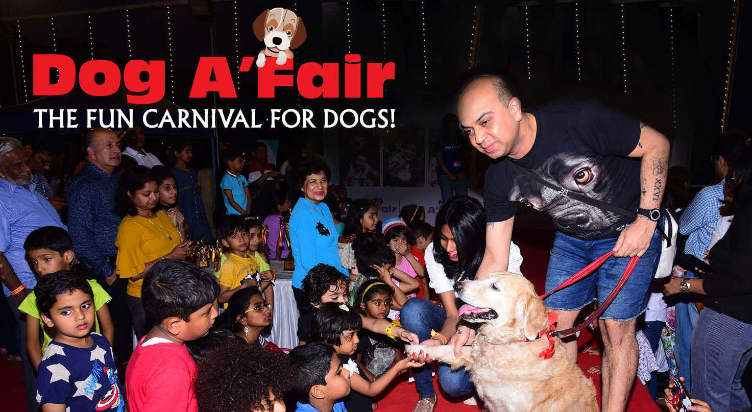 Dog A'Fair 2020