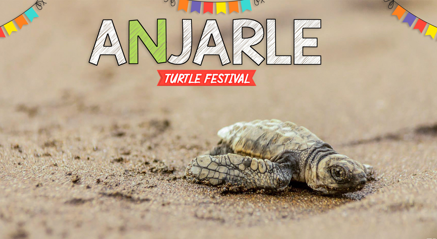 Anjarle Turtle Festival Trikon