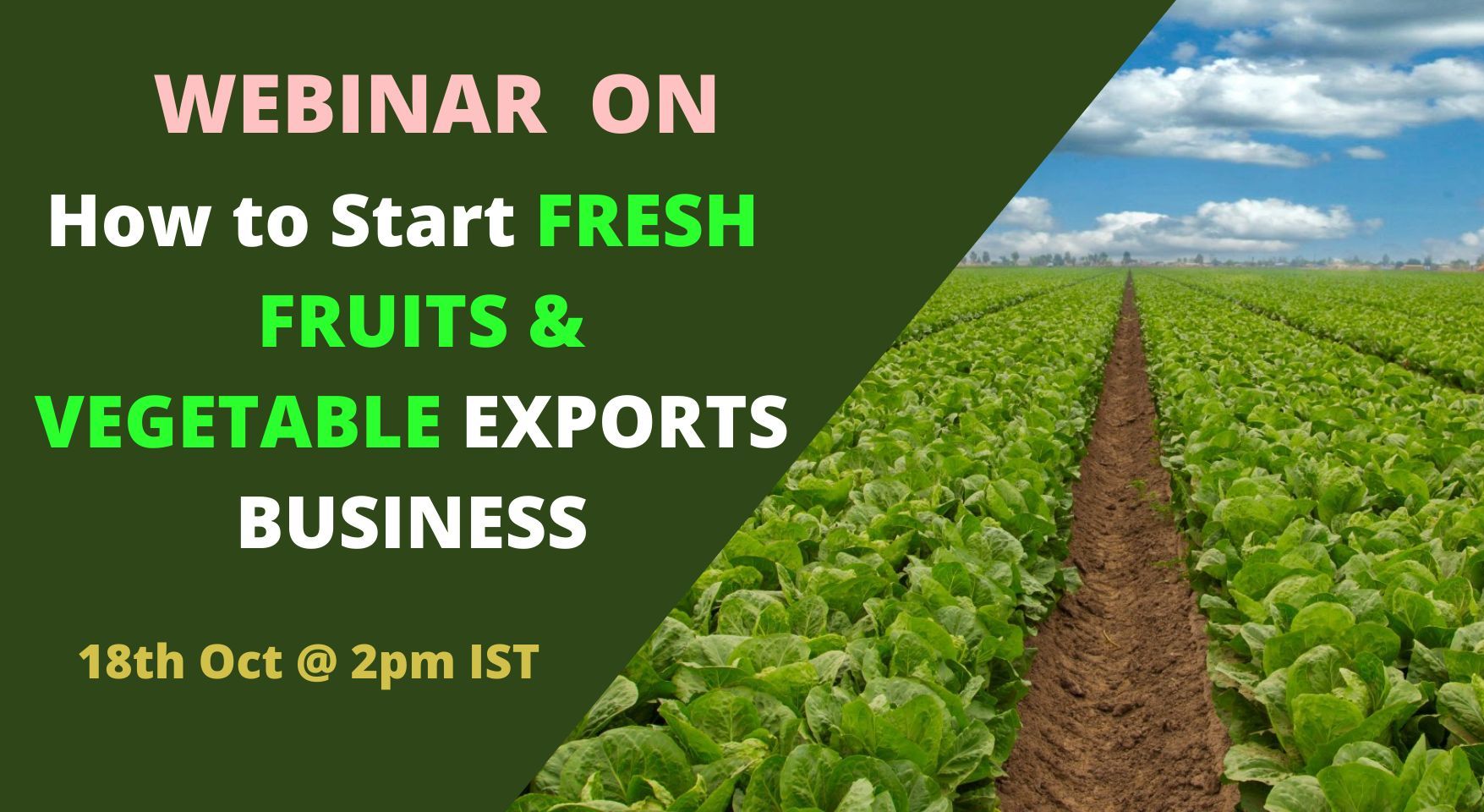 WEBINAR ON HOW TO START FRESH FRUITS & VEGETABLES EXPORTS FROM INDIA