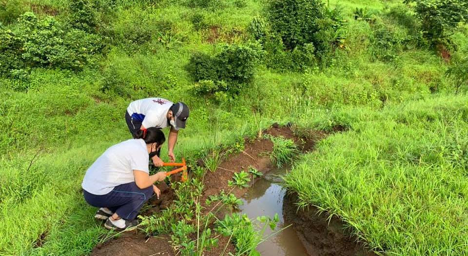 Volunteer to help in habitat restoration on Taloja Hills