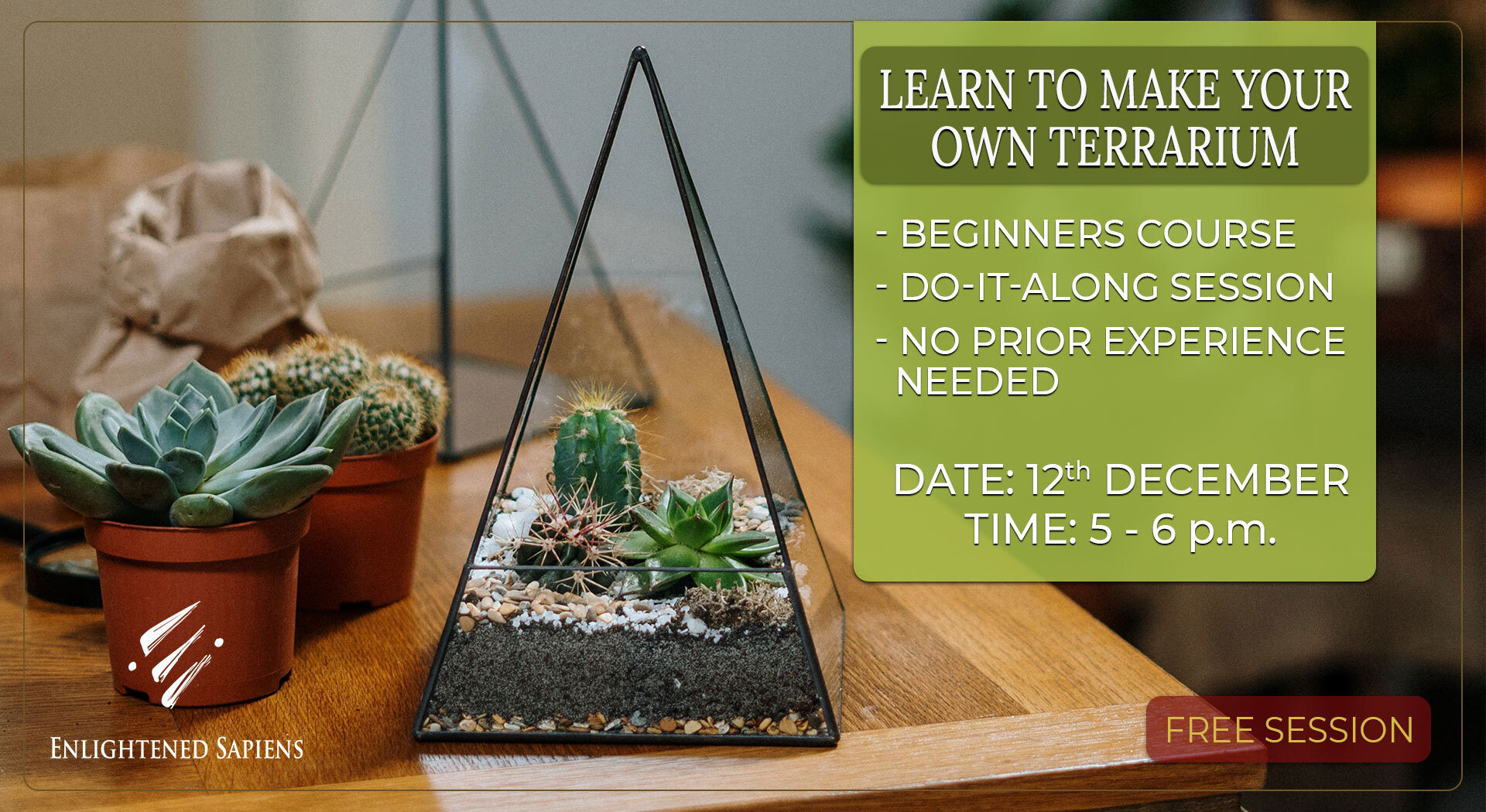 Learn To Make Your Own Terrarium   Ifept3loxvice8rmoflo 