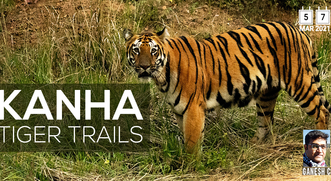 KANHA WILDLIFE PHOTO TOUR