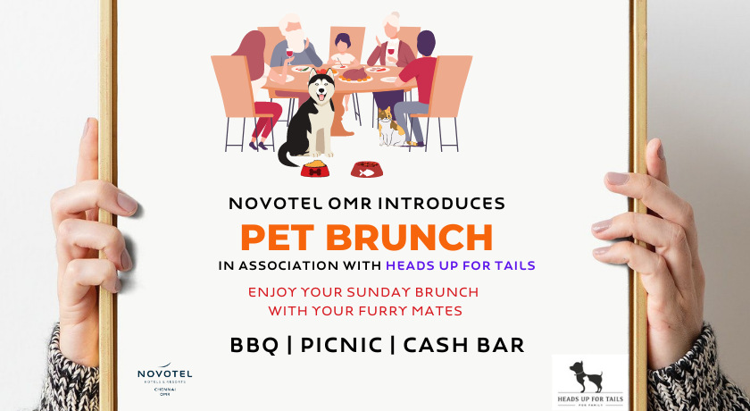 Pet & Family Sunday Brunch