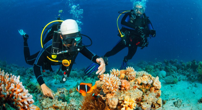 Malvan Tarkarli Scuba Diving Konkan Tour