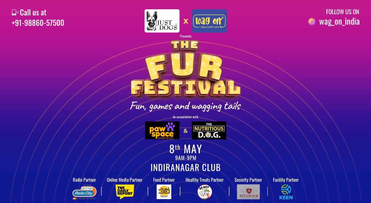 The Fur Festival