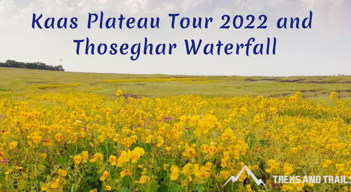 Kaas Plateau Tour and Thoseghar Waterfall Treks and Trails