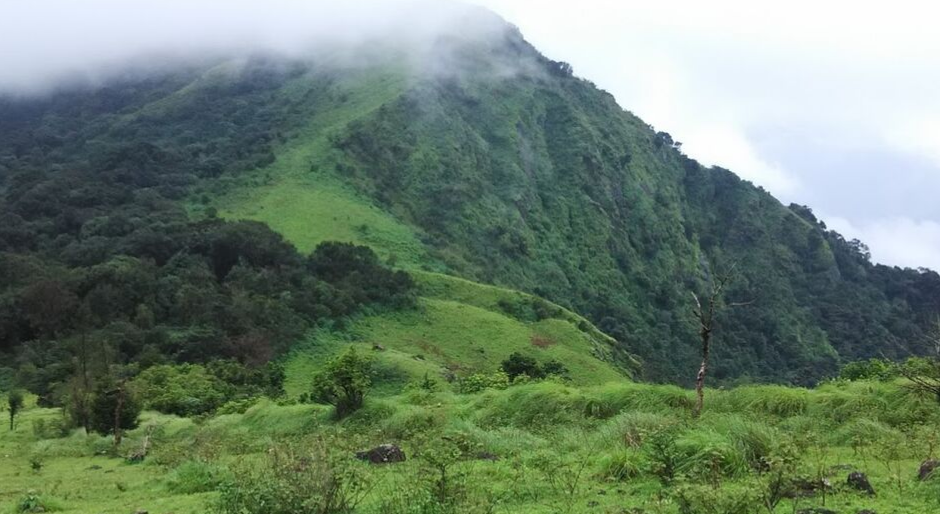 Nishani Motte Trek - Coorg