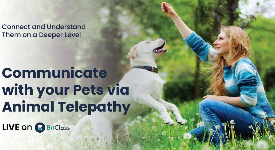 Communicate with your Pets via Animal Telepathy Connect and