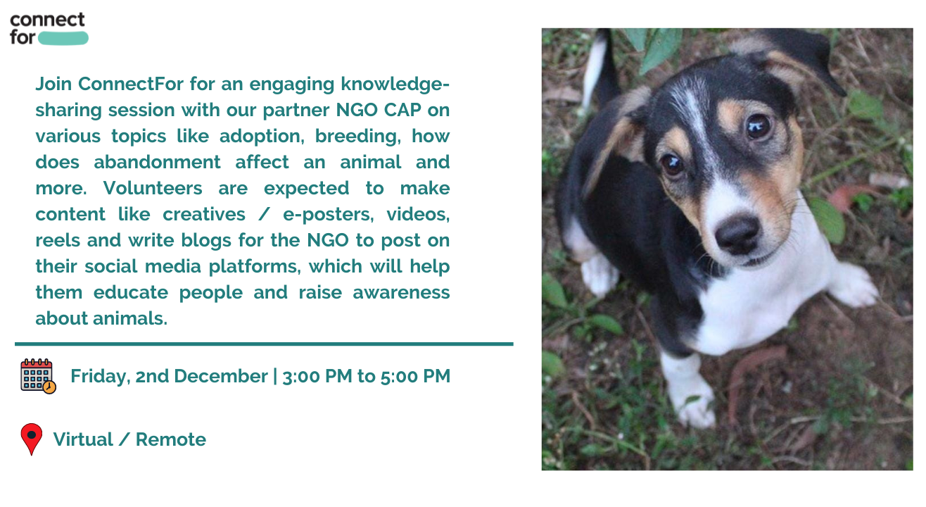 Awareness Session on Adoption of Abandoned and Stray Animals Awareness Session on Adoption of Abandoned and Stray Animals
