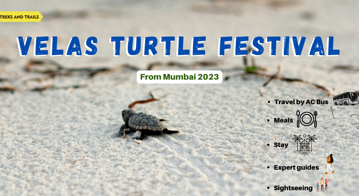 Velas Turtle Festival from Mumbai Ac Bus