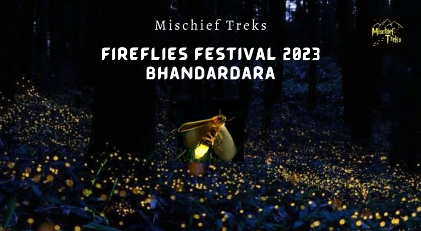 bhandardara fireflies trek