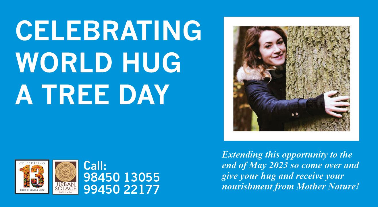 Celebrating World Hug a Tree Day!