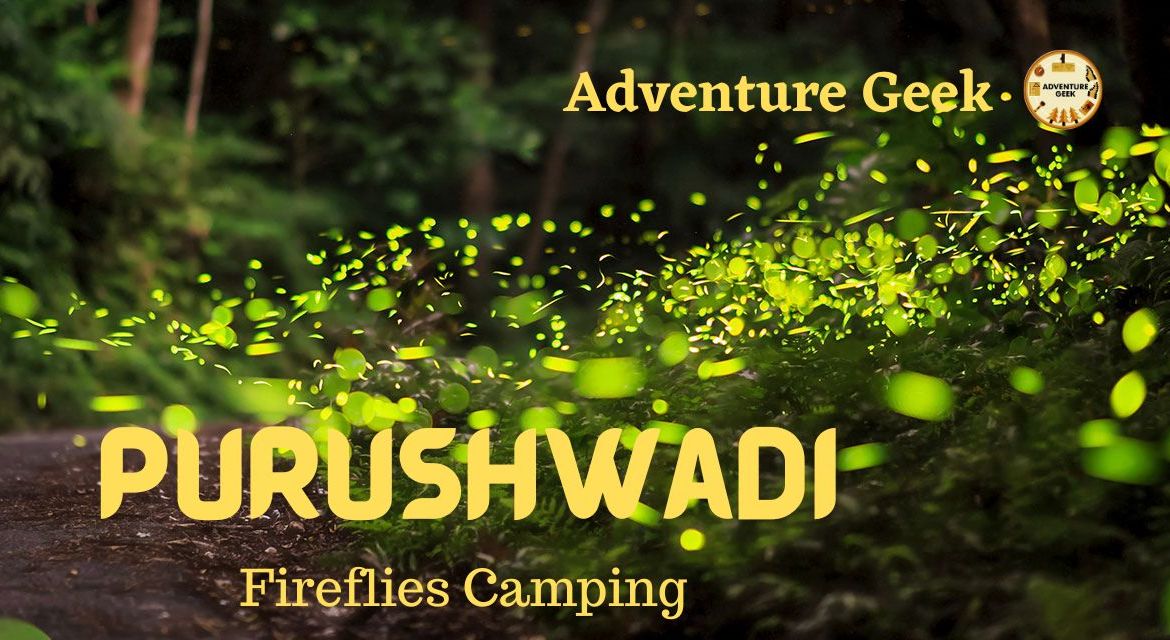 Purushwadi Fireflies Special Tour 2024