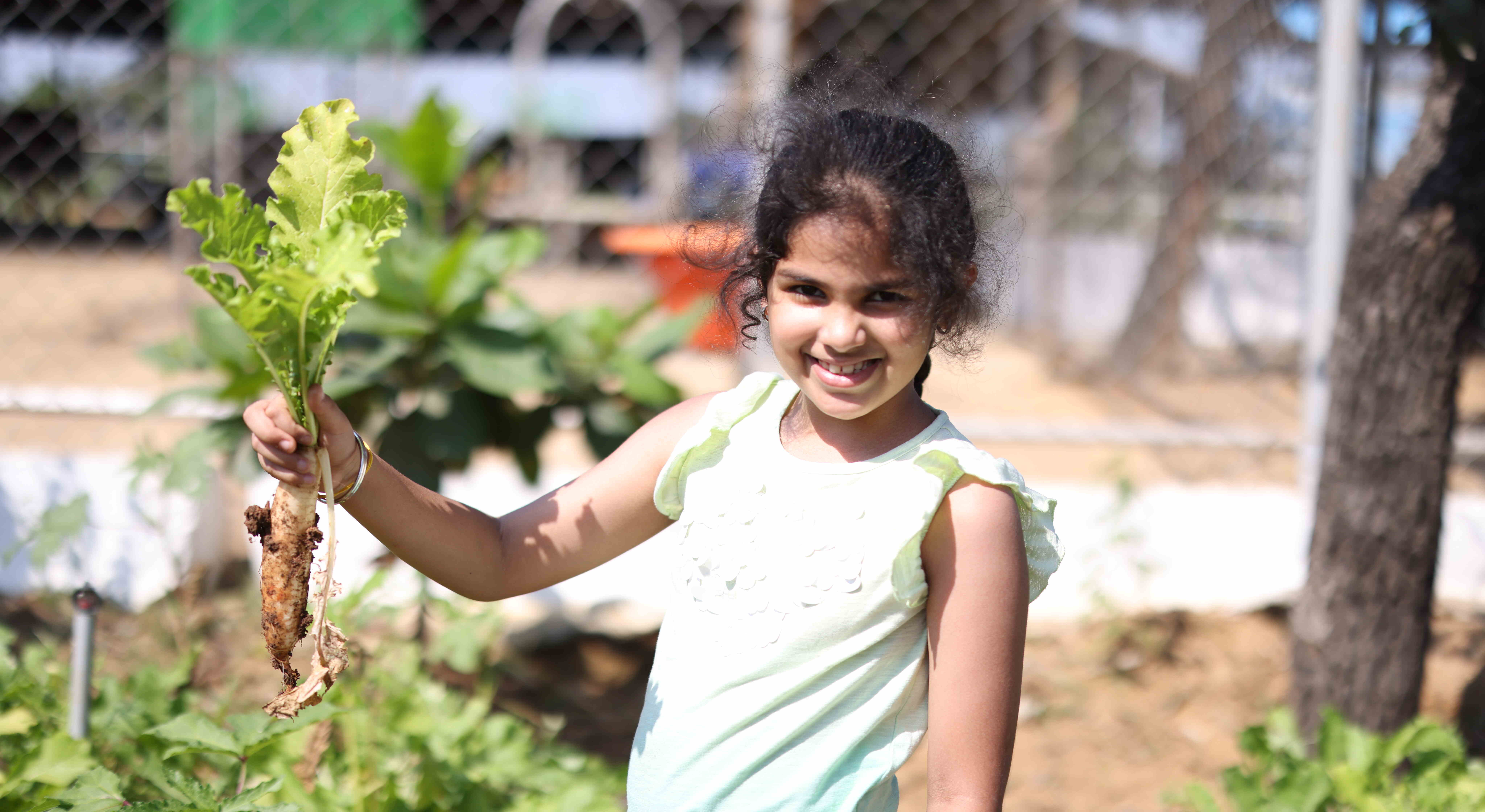 Experience Good Food Journey At Akshayakalpa Farm (Chennai)