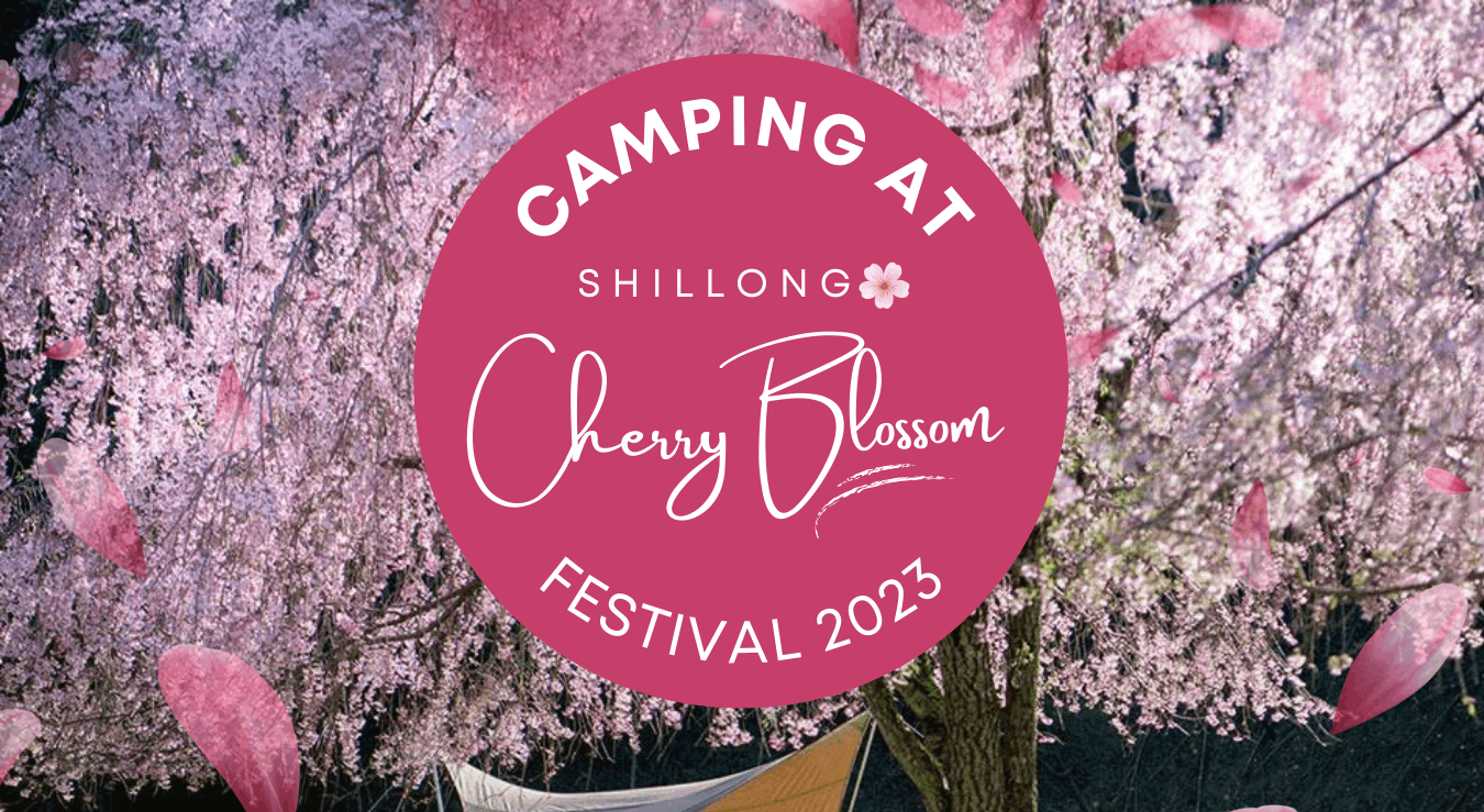 Shillong Cherry Blossom fest begins soon: What's in it