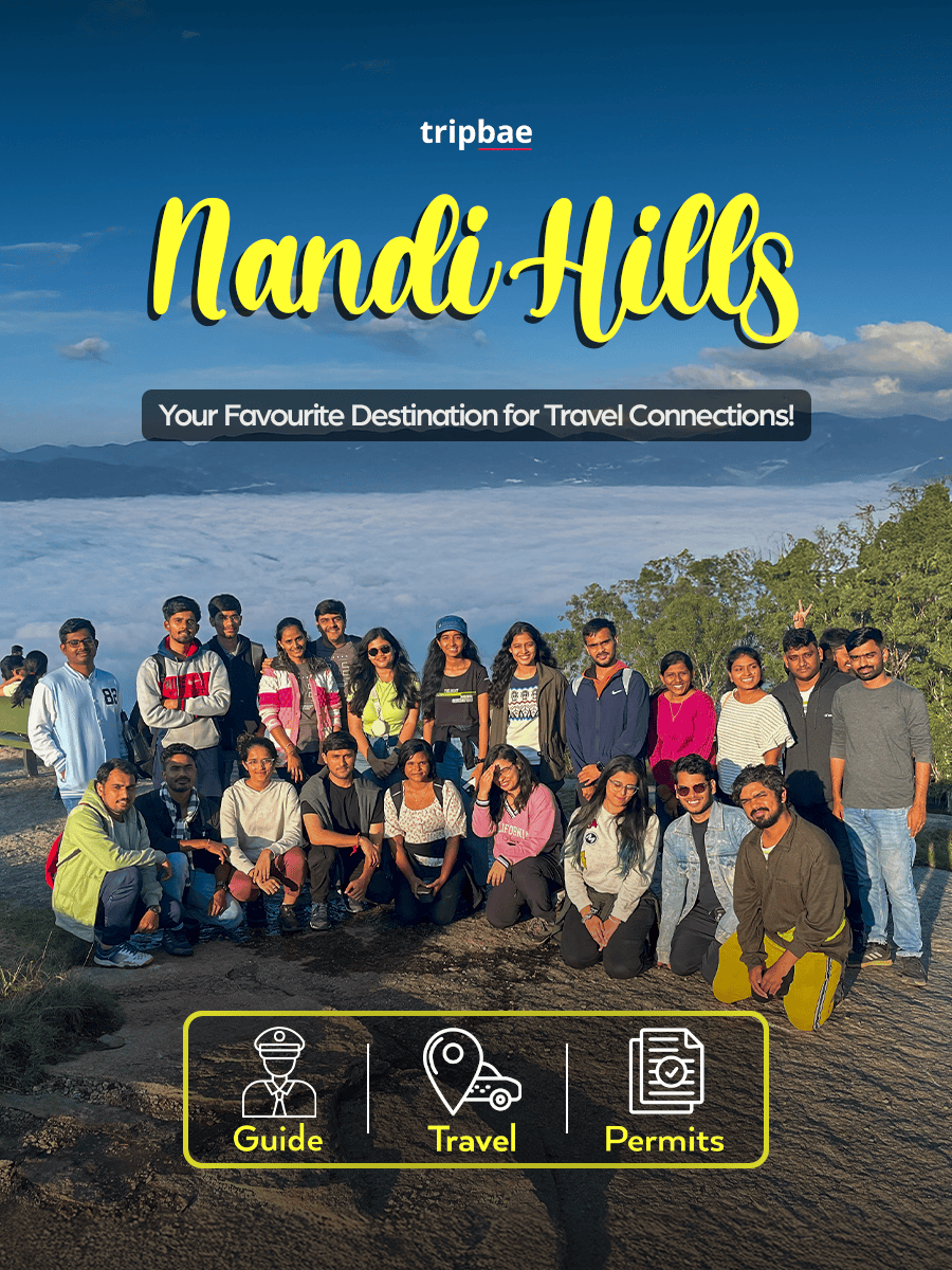 Nandi Hills Sunrise Trek by Tripbae