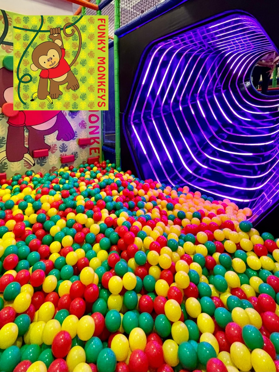 Funky Monkeys Play Center | Pune