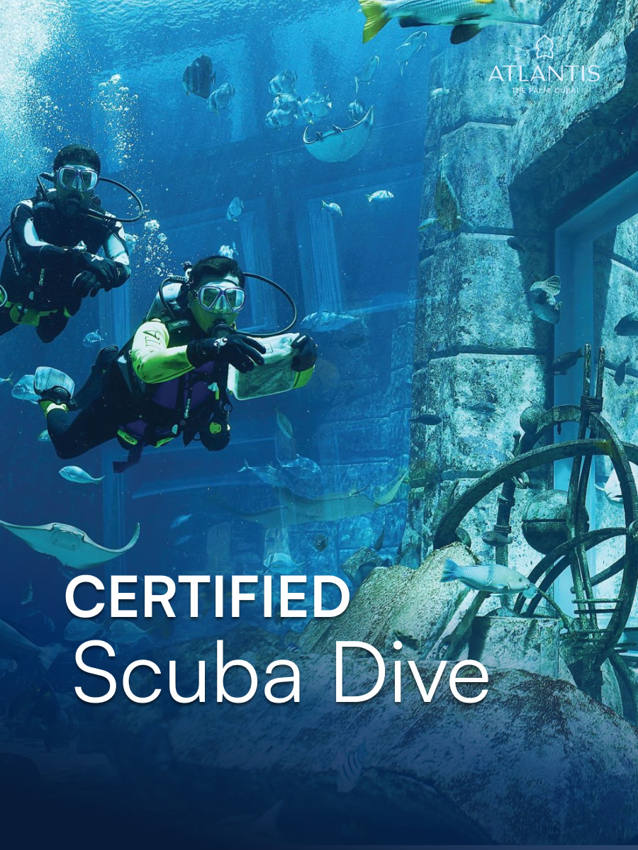 Atlantis Explorer Certified Scuba Dive