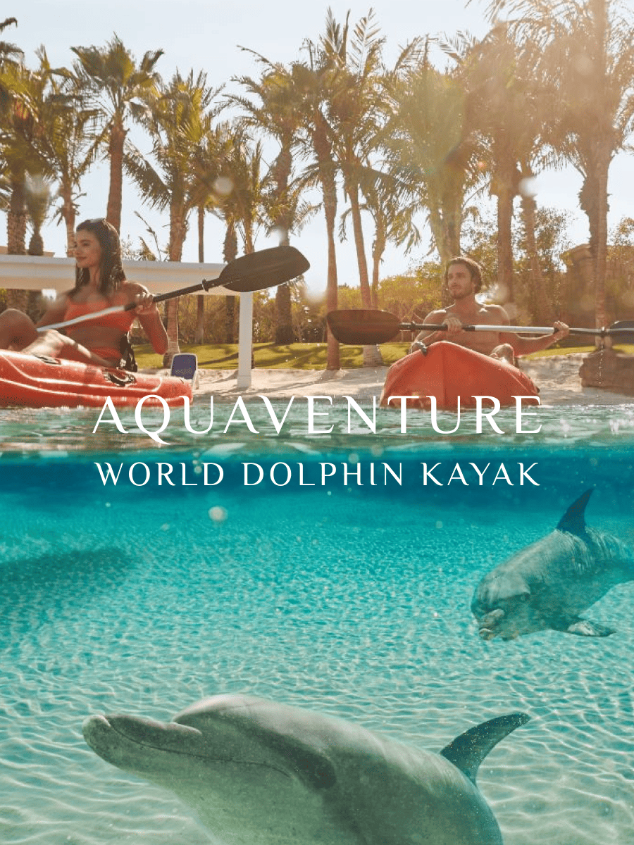 Atlantis Dolphin Kayak 