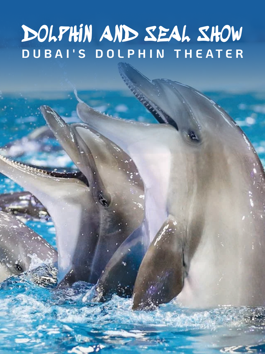 Dubai Dolphinarium - Dolphin and Seal Show Standard