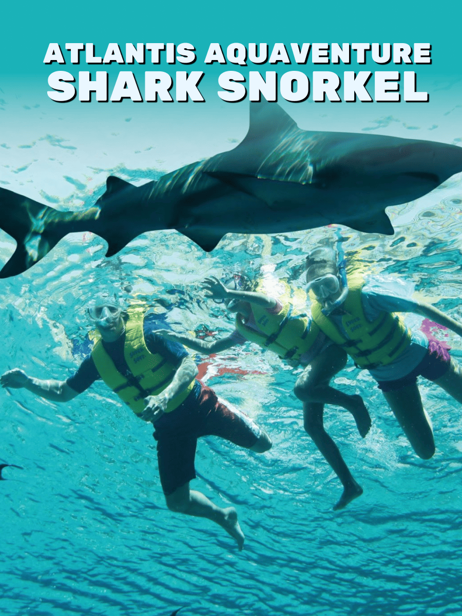 Atlantis Aquaventure Shark Snorkel