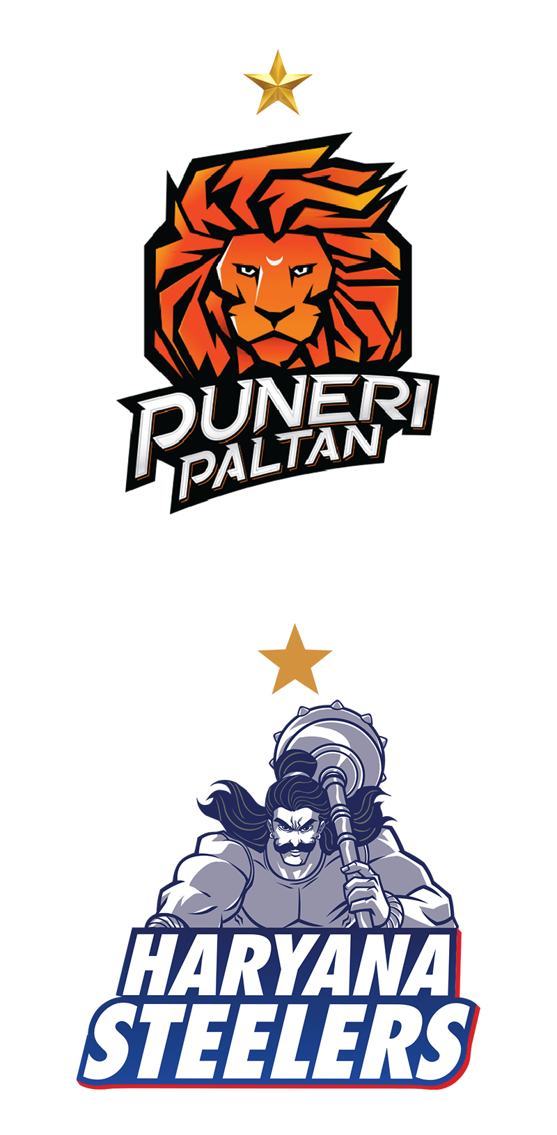 Haryana Steelers