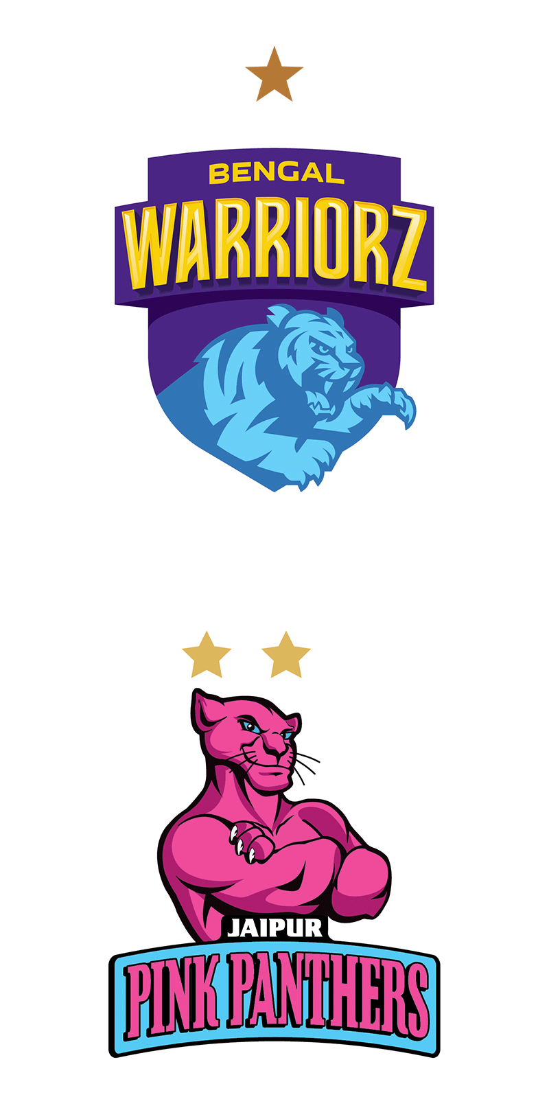Jaipur Pink Panthers