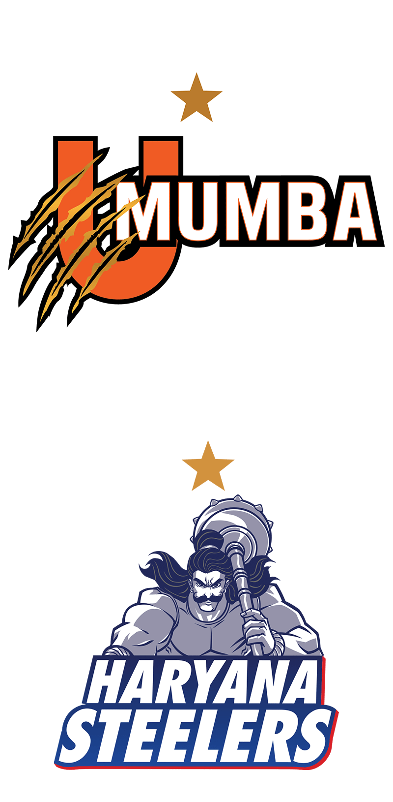 Haryana Steelers