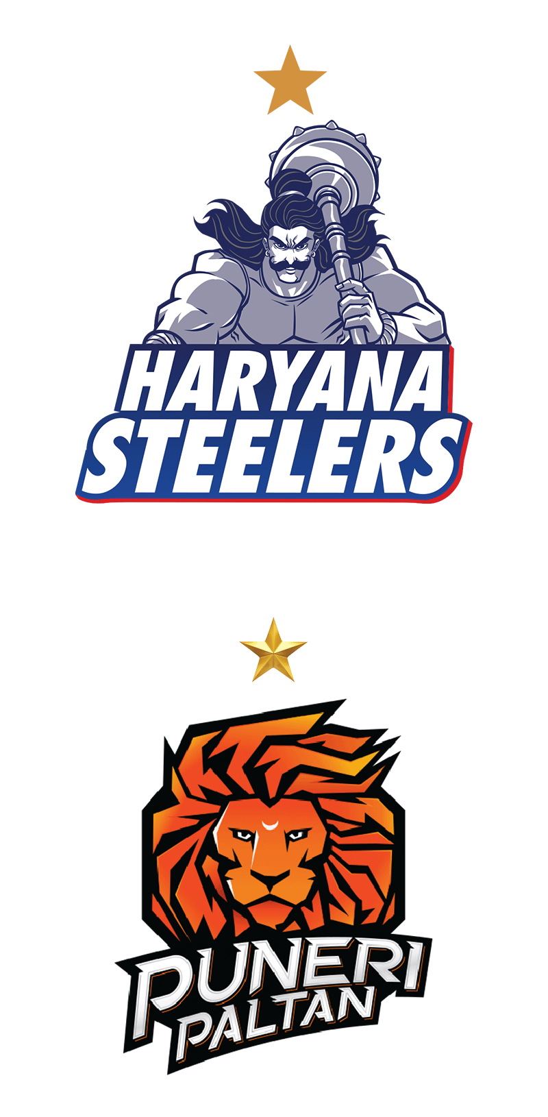 Puneri Paltan