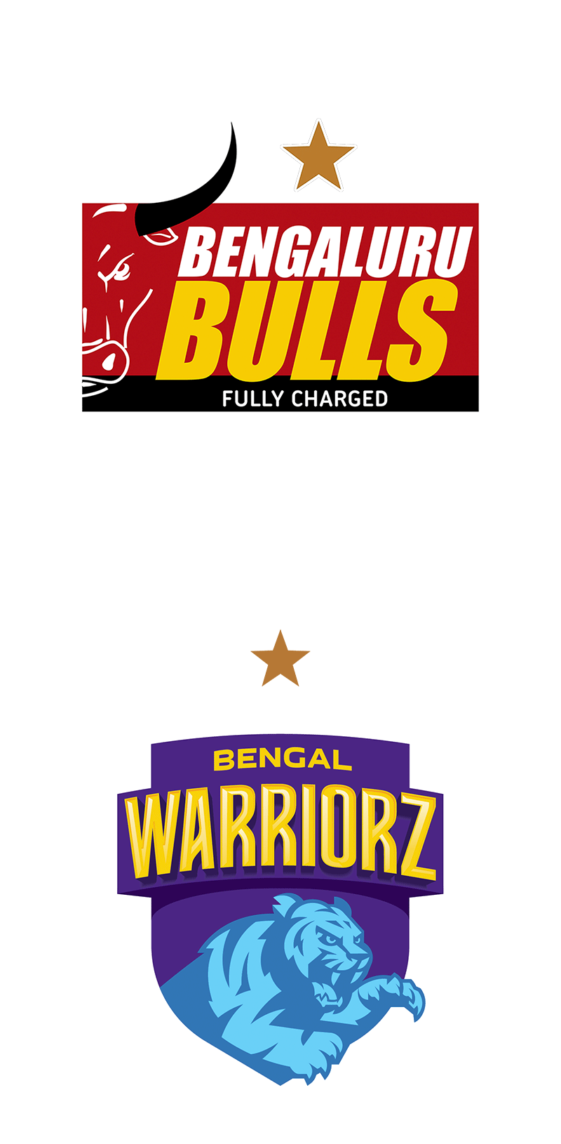 Bengaluru Bulls