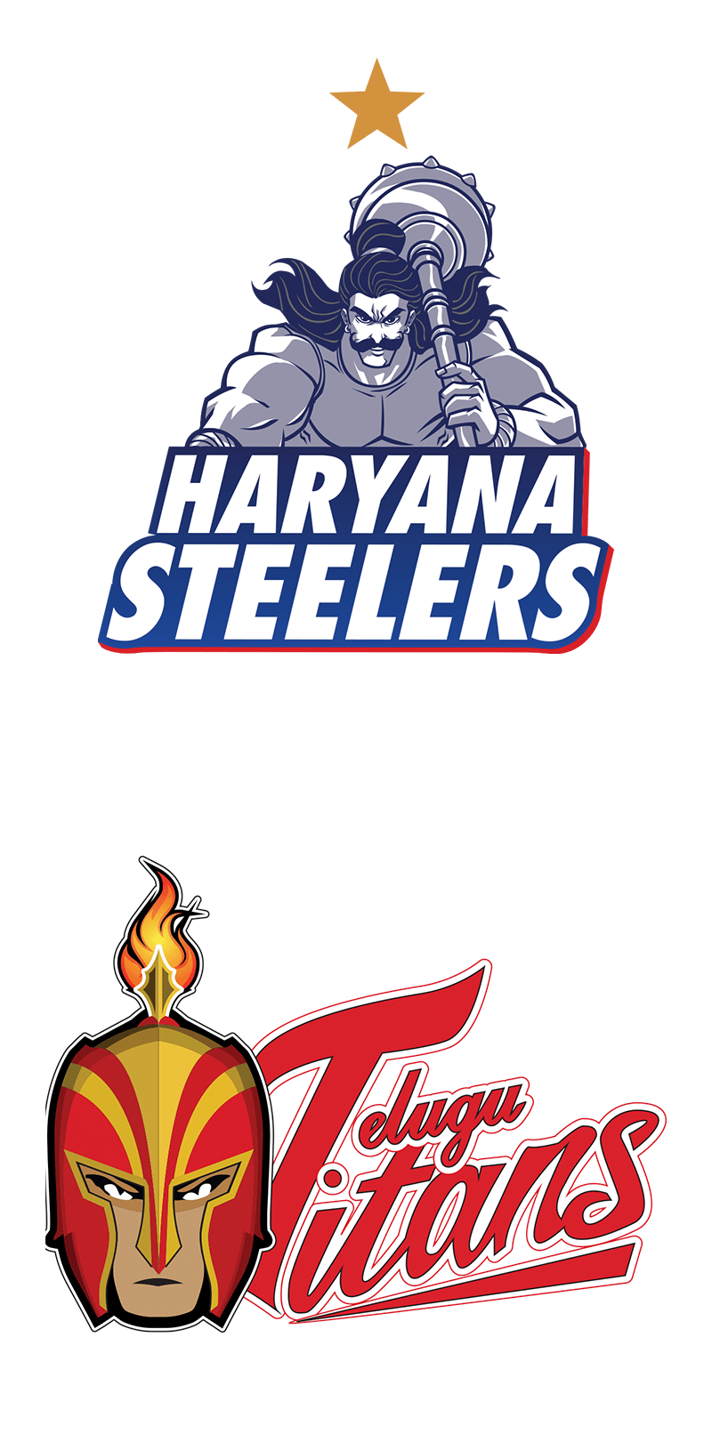 Haryana Steelers