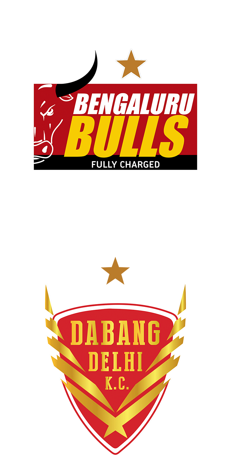 Bengaluru Bulls