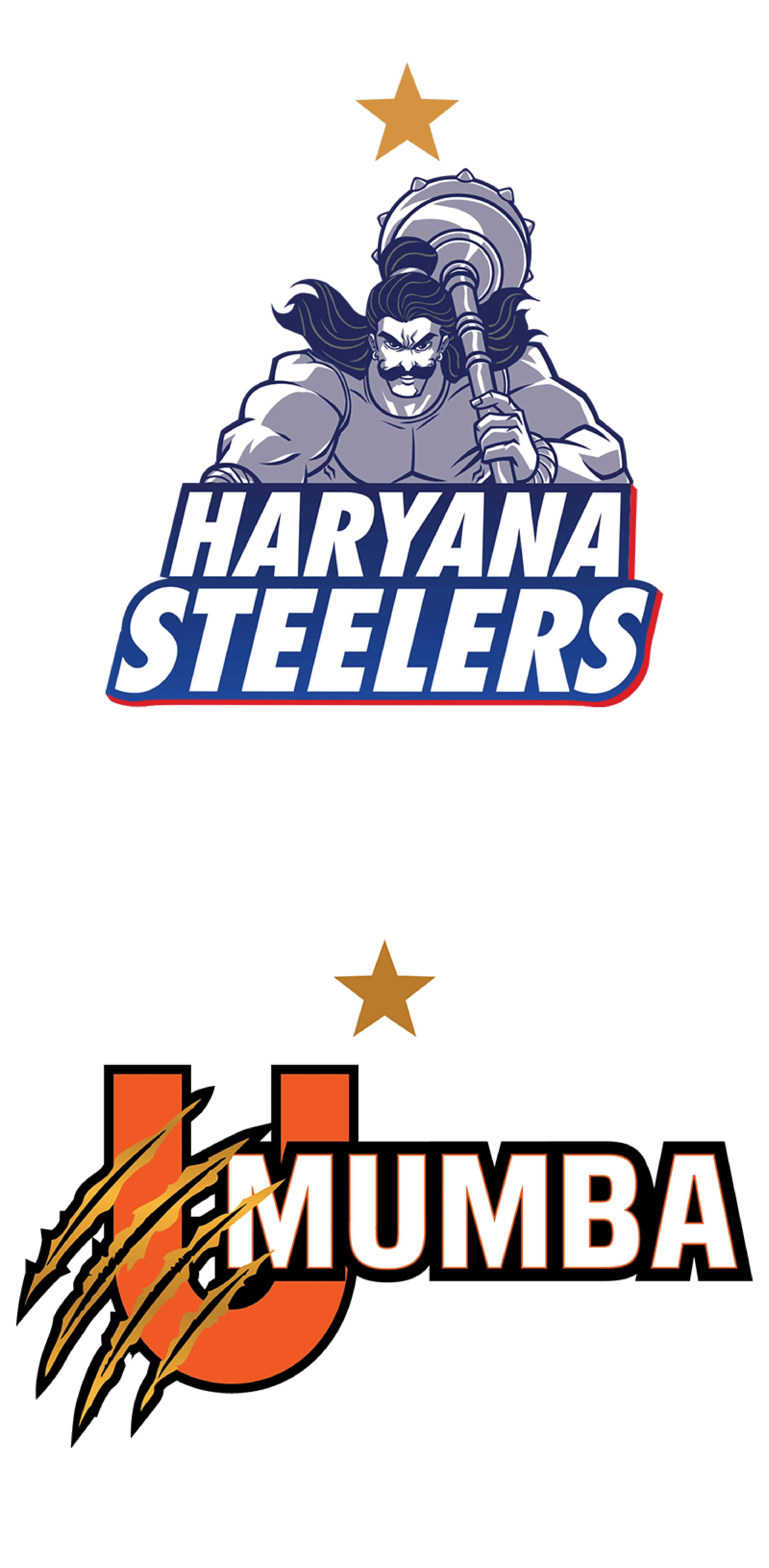 Haryana Steelers