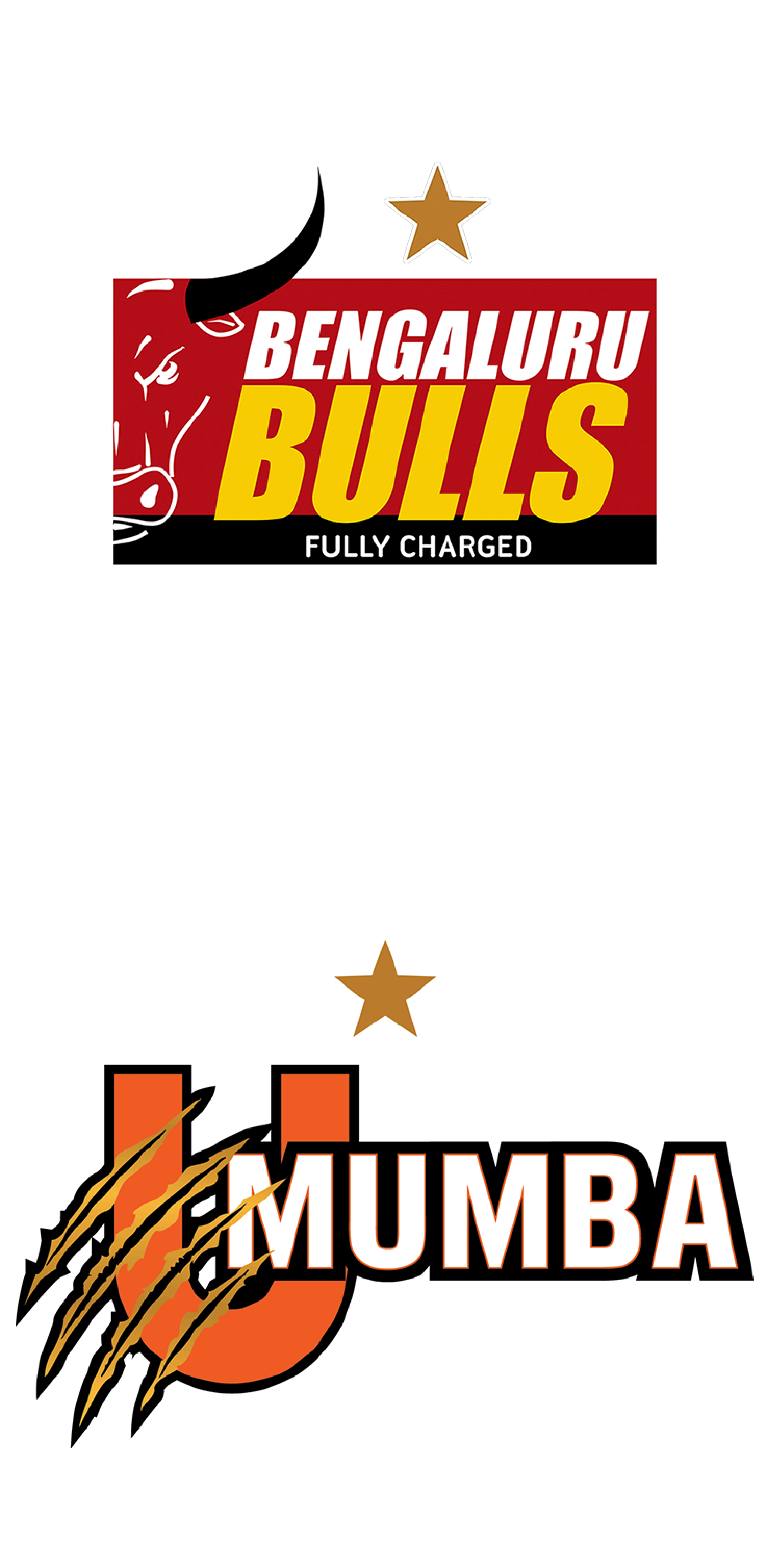 Bengaluru Bulls