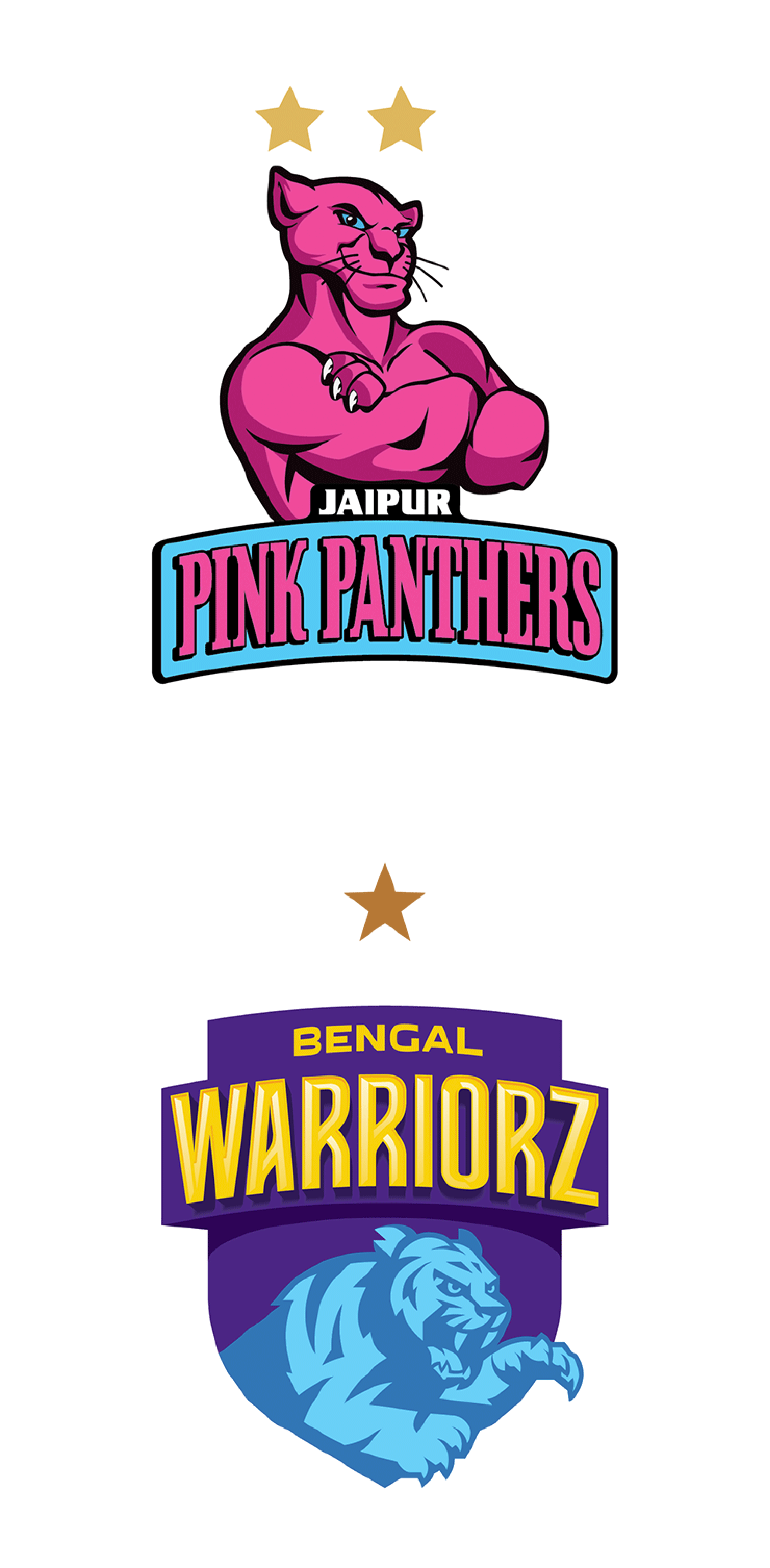 Jaipur Pink Panthers