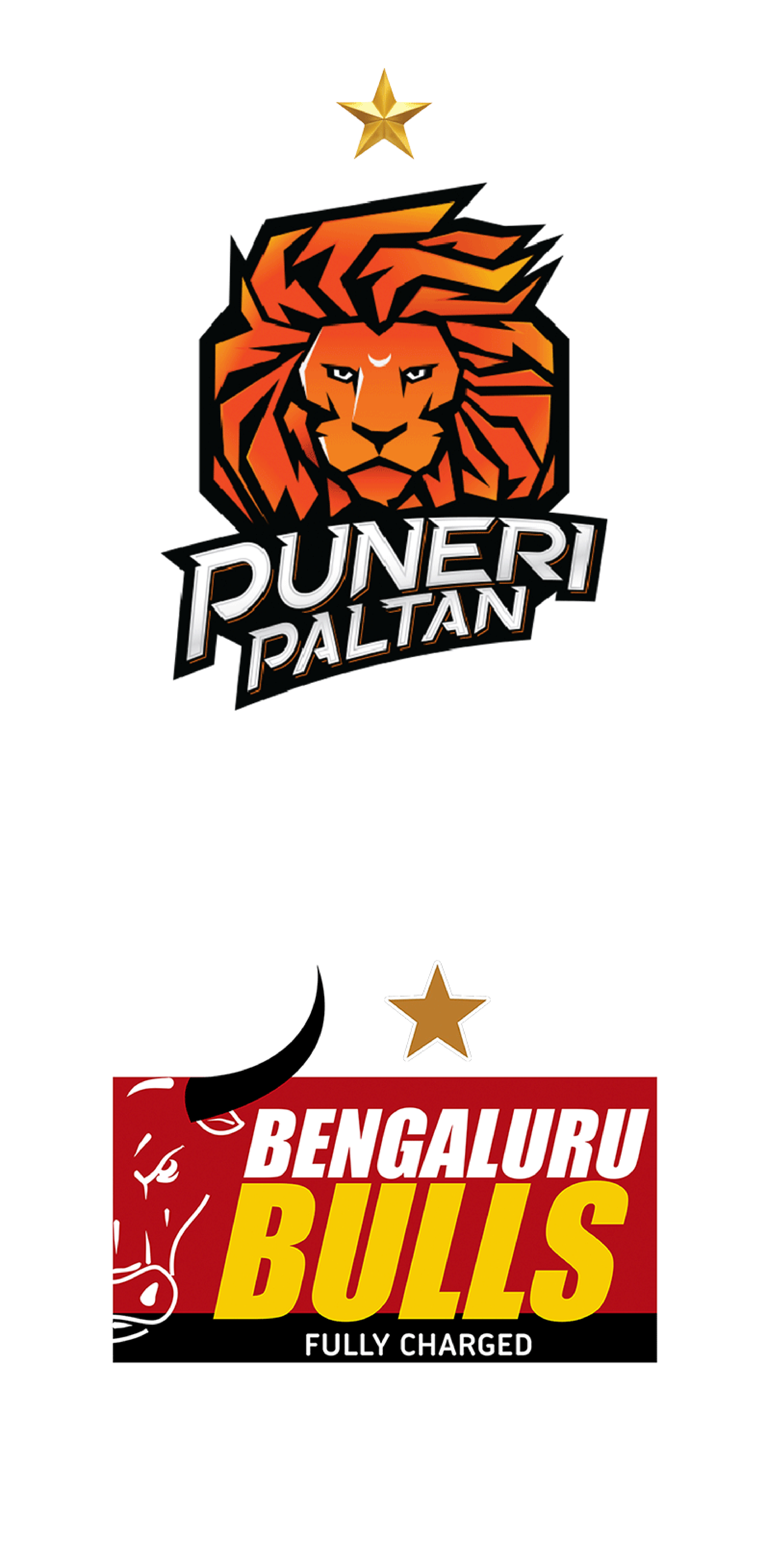 Puneri Paltan