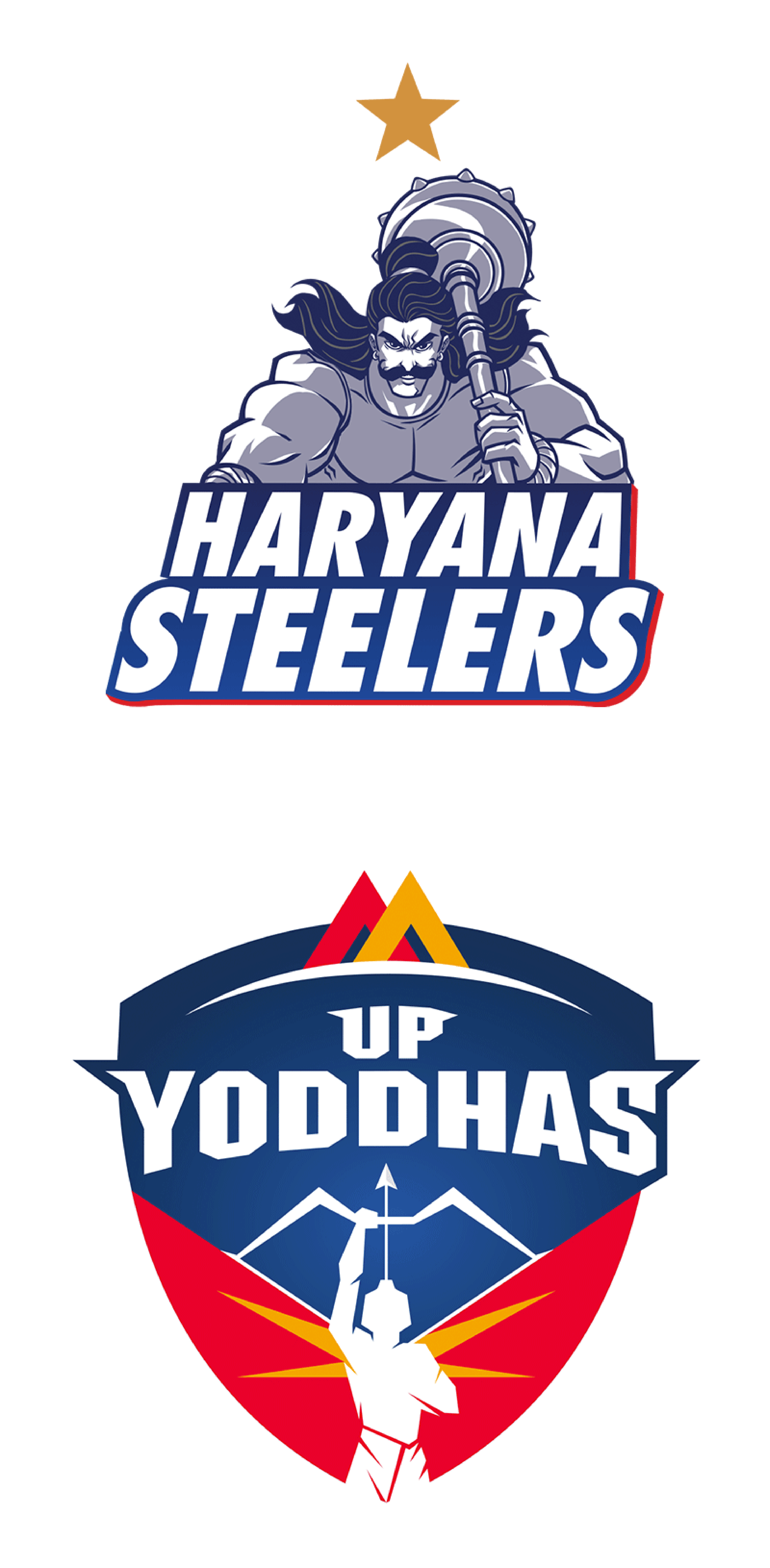 Haryana Steelers